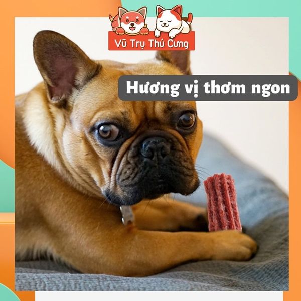 Snack xương gặm sạch răng cho Chó 7 Dental Effects Vegebrand 100g