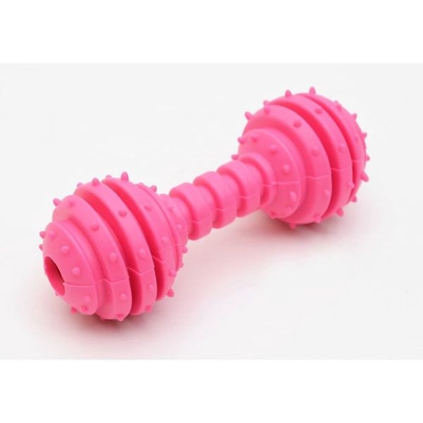 Xương gặm đồ chơi cho Chó, có chuông vui tai (tạ có khe)