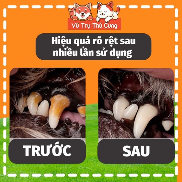 Nước uống thơm miệng, sạch răng dành cho Chó mèo Bioline 300ml