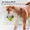 Đồ Chơi Cho Chó Combo 2 Bóng Tenis Gặm Và Huấn Luyện FOFOS