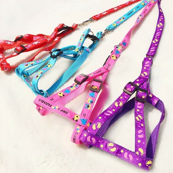 Set dây dắt chó mèo đi dạo, dây vòng cổ, dây yếm (màu ngẫu nhiên)