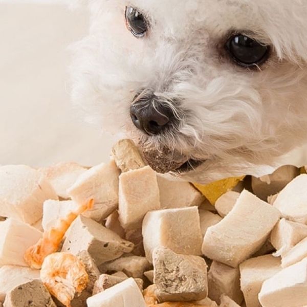 Snack thịt sấy cho Chó Mèo, Gà sấy hỗn hợp thơm ngon cho thú cưng