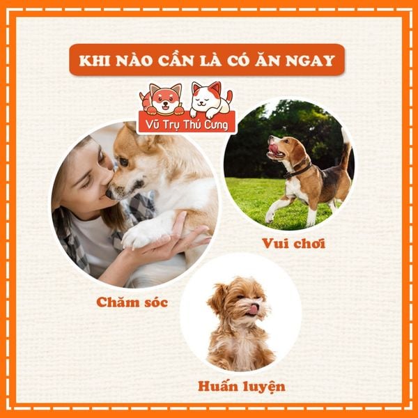 Snack cho Chó dạng Thanh Gà sấy dẻo Doggy Man 80g