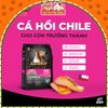 Hạt cho chó trưởng thành Ganador vị cá hồi 400g