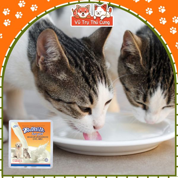 Sữa Bio Milk cho Chó Mèo 100g, cung cấp dinh dưỡng cho Mèo con