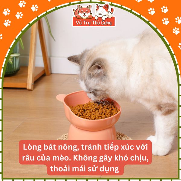 Bát ăn cho chó mèo chống gù lưng, họa tiết tai gấu màu pastel