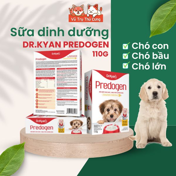 Sữa cho Chó Dr.Kyan Predogen hộp 110g