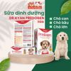 Sữa cho Chó Dr.Kyan Predogen hộp 110g