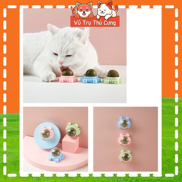 Đồ chơi Kẹo cỏ mèo giúp mèo thư giãn, tiêu búi lông và sạch răng
