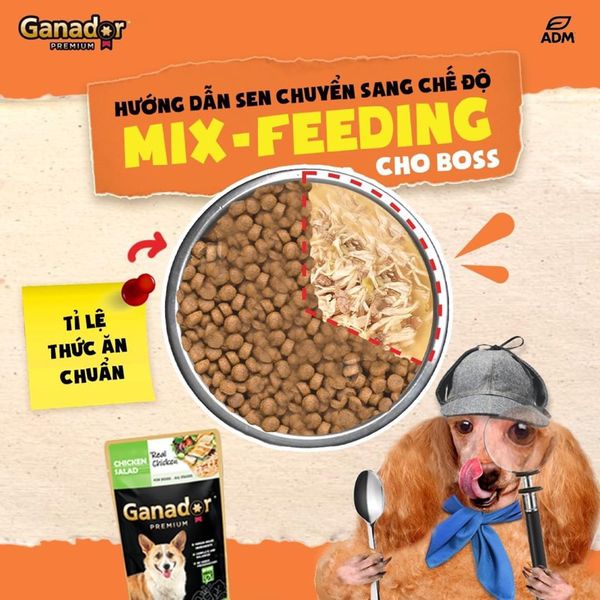 Pate Ganador Chó Mọi Lứa Tuổi Từ Thịt Gà Thật 120g