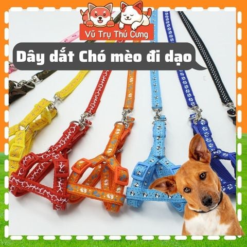 Set dây dắt chó mèo đi dạo, dây vòng cổ, dây yếm (màu ngẫu nhiên)
