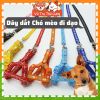 Set dây dắt chó mèo đi dạo, dây vòng cổ, dây yếm (màu ngẫu nhiên)