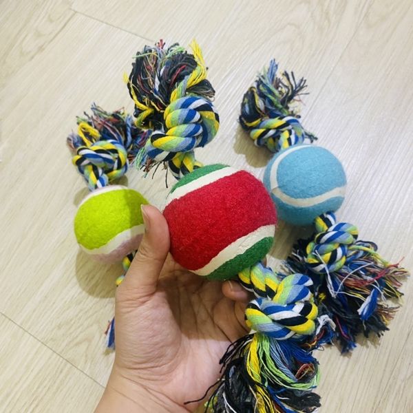 Đồ chơi nhai gặm cho Chó, bóng cao su kèm dây thừng