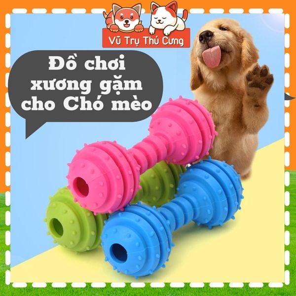 Đồ Chơi Cho Chó Mèo Xương Gặm Cao Su Có Chuông