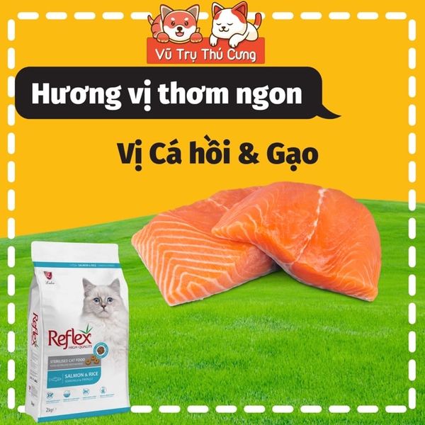 Hạt Reflex dành cho Mèo triệt sản 2Kg, Nhập Châu Âu