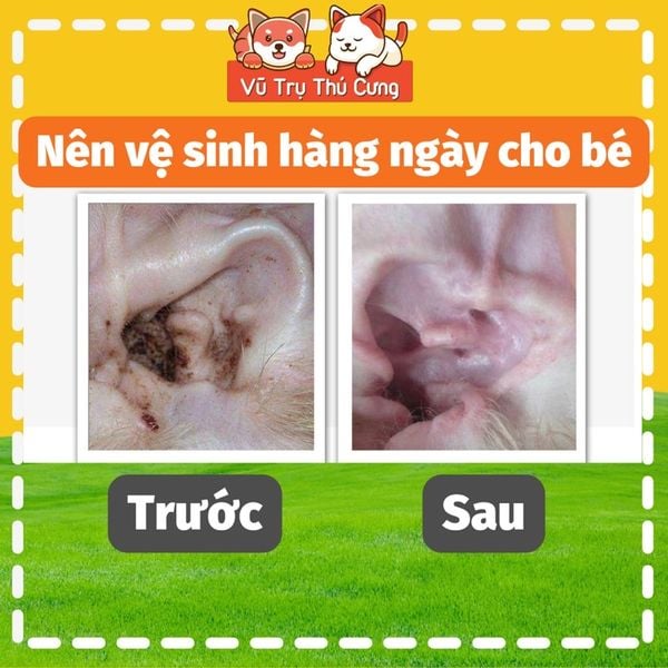 Khăn ướt lau tai cho Chó Mèo SOS, 100 miếng, vệ sinh tai sạch sẽ