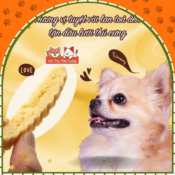 Snack Cho Chó Que Gà Nướng Mềm Saya Doggy Man 100g