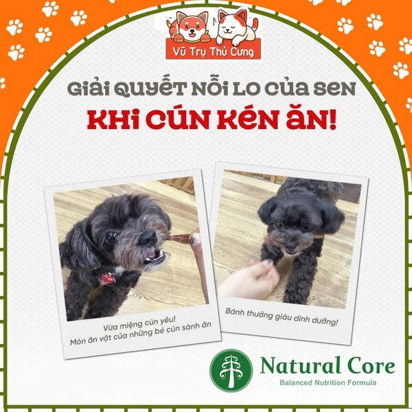 Snack sấy cho Chó Natural Core, Que gặm dinh dưỡng vị thịt gà, vịt
