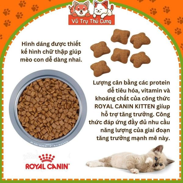 Thức ăn hạt Royal Canin Kitten dành cho mèo con