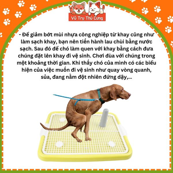 Khay vệ sinh cho Chó size 40x50cm, chất liệu nhựa siêu bền, nắp khóa chắc chắn