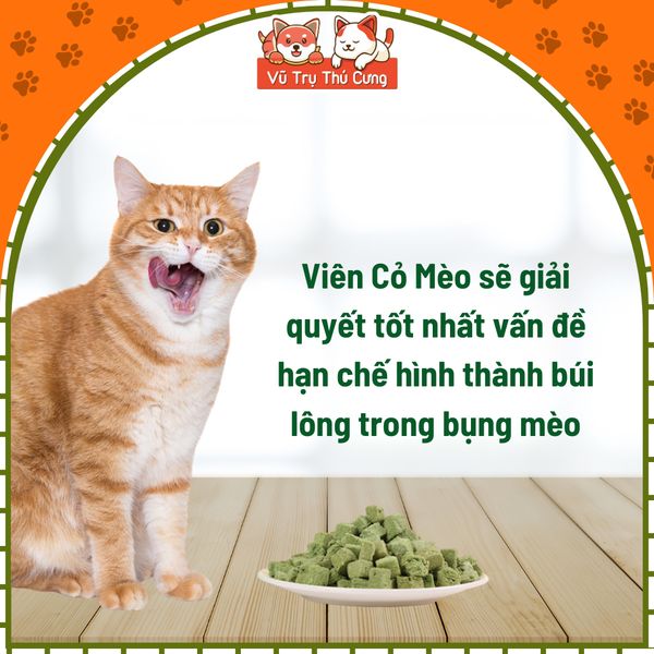 Cỏ Mèo Dạng Viên Taotaopets Giúp Tiêu Búi Lông, Giảm Hôi Miệng Mèo
