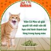 Cỏ Mèo Dạng Viên Taotaopets Giúp Tiêu Búi Lông, Giảm Hôi Miệng Mèo