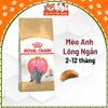 Hạt Royal Canin British Shorthair Kitten Dành Cho Mèo Anh Lông Ngắn 400g