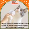 Khăn giấy ướt kháng khuẩn, tắm khô cho chó mèo - Vệ sinh tai mắt cho thú cưng (80 miếng)