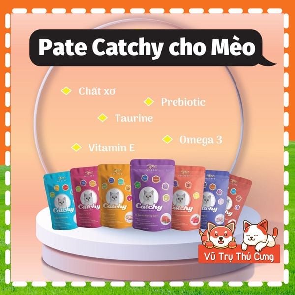 Pate 5Plus Catchy cho Mèo Nhiều Dinh Dưỡng 70g