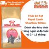 Hạt Royal Canin British Shorthair Kitten Dành Cho Mèo Anh Lông Ngắn 400g