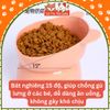 Bát ăn cho chó mèo chống gù lưng, họa tiết tai gấu màu pastel