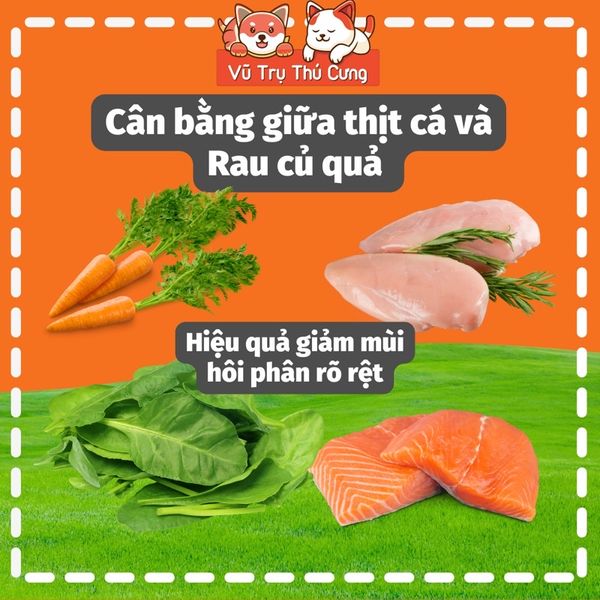 Hạt hữu cơ Natural Core Bene C3 cho Mèo 500g, thịt gà và cá hồi