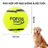 Đồ Chơi Cho Chó Combo 2 Bóng Tenis Gặm Và Huấn Luyện FOFOS