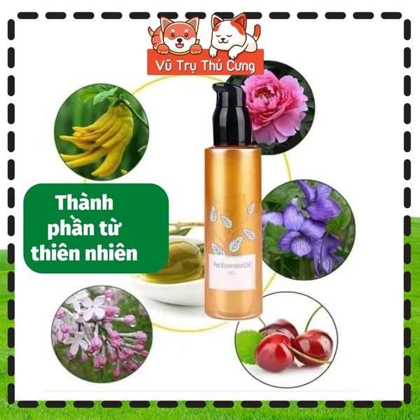 Tinh dầu dưỡng mượt lông, khử mùi hôi cho Chó mèo Show Queen 100ml