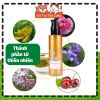 Tinh dầu dưỡng mượt lông, khử mùi hôi cho Chó mèo Show Queen 100ml