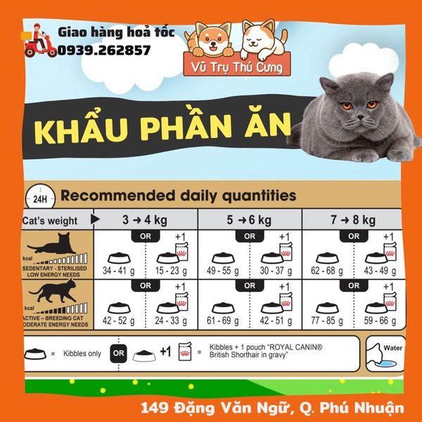 Hạt Royal Canin British Shorthair dành cho Mèo Anh Lông Ngắn trưởng thành 400g