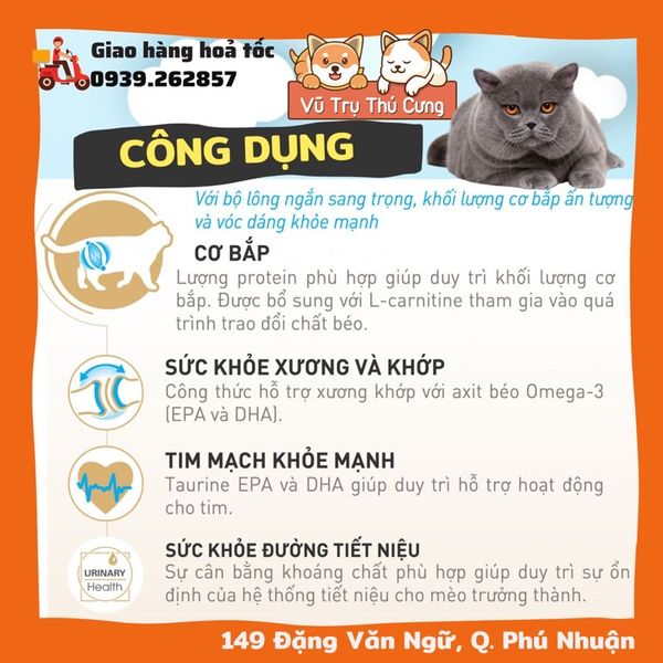 Hạt Royal Canin British Shorthair dành cho Mèo Anh Lông Ngắn trưởng thành 400g