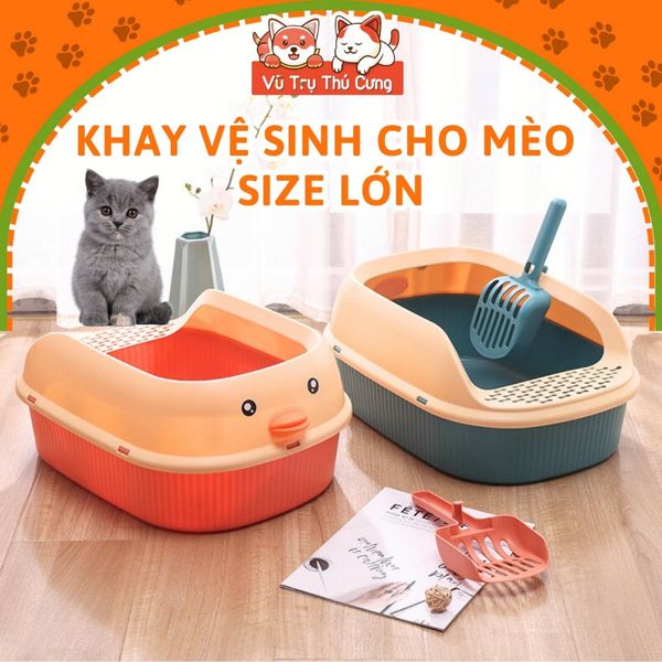 Nhà vệ sinh cho Mèo thành cao, chống văng cát, tặng kèm xẻng