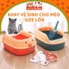 Nhà vệ sinh cho Mèo thành cao, chống văng cát, tặng kèm xẻng