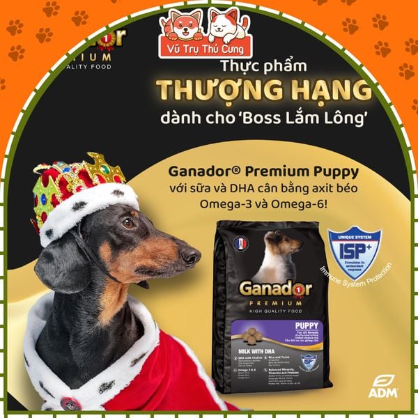 Thức Ăn Hạt Cho Chó Ganador Cung Cấp Nhiều Dinh Dưỡng 10kg