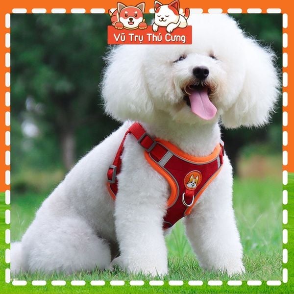 Đai yếm kèm dây dắt thú cưng đi dạo, thiết kế nịt ngực chắc chắn, tiện lợi