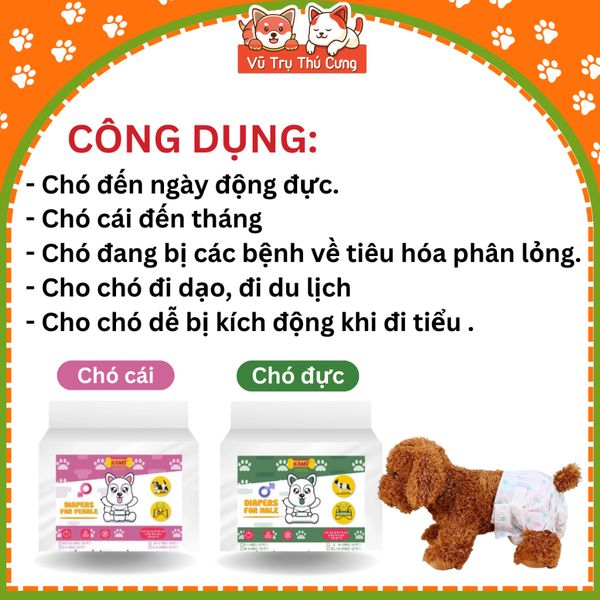 Bỉm cho chó Kamt, Tã quần cho chó cái và chó đực siêu thấm hút 10 miếng