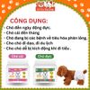 Bỉm cho chó Kamt, Tã quần cho chó cái và chó đực siêu thấm hút 10 miếng