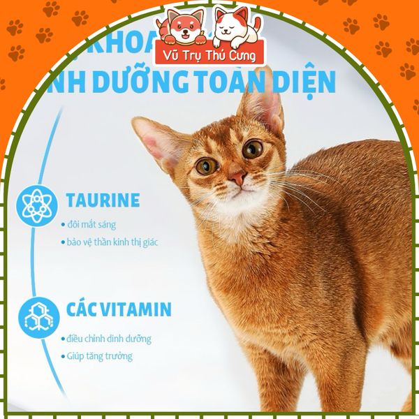 Hạt Mr.Vet Cho Mèo Giàu Đạm, Topping Thịt Sấy Không Độn Ngũ Cốc 1Kg