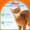 Hạt Mr.Vet Cho Mèo Giàu Đạm, Topping Thịt Sấy Không Độn Ngũ Cốc 1Kg