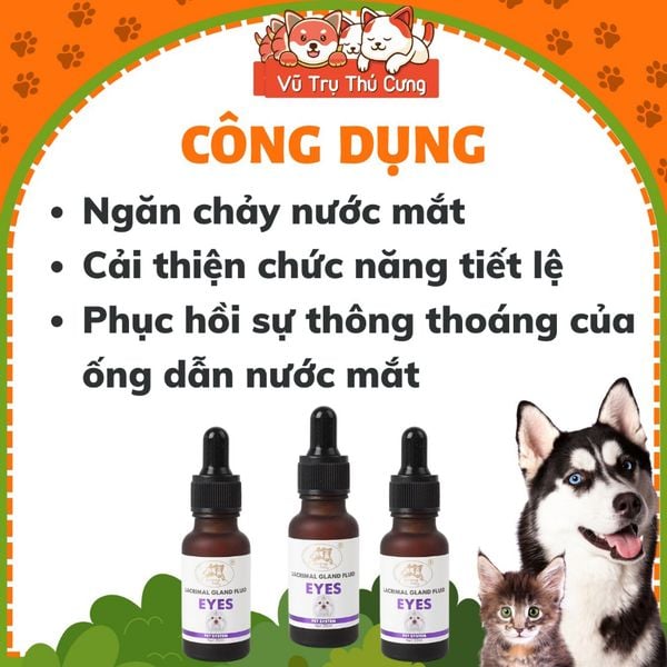 Siro uống ngăn tiết lệ, chống chảy nước mắt ở Chó Mèo 20ml