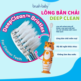  BRUSH-BABY BÀN CHẢI ĐIỆN SÓNG ÂM CÓ KÈM SẠC WILDONES (0 - 10 TUỔI) - TIGER 