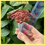 (Lẻ 15 Cái) Nhụy Hoa Ly Làm Hoa Handmade 