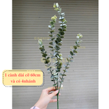  Cụm Điểm, Cành Điểm Nhiều Mẫu Điểm Hoa Giả , Hoa Sáp, Làm Oản, Tháp Bánh 