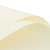  (58*58cm) Giấy Satin Gói Hoa Mờ Đặc Cao Cấp Không Thấm Nước, Màu Đẹp Sắc Nét. 